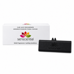 Rectangular Car Air Freshener